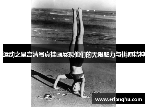 运动之星高清写真挂画展现他们的无限魅力与拼搏精神