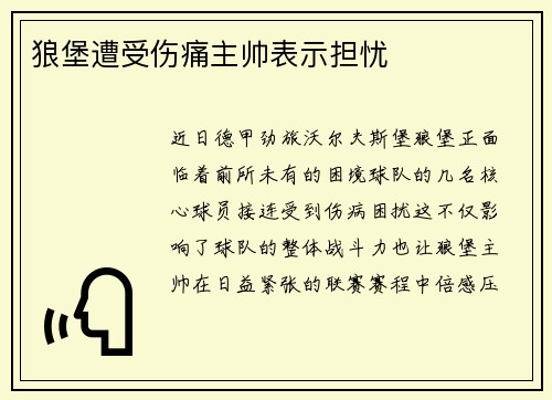 狼堡遭受伤痛主帅表示担忧