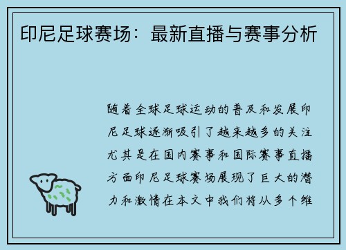 印尼足球赛场：最新直播与赛事分析